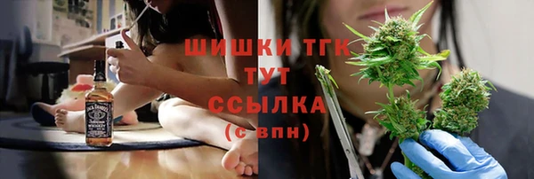 гидра Богородск