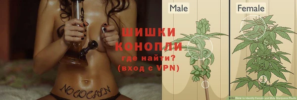 тгк Богданович