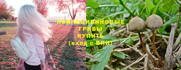 тгк Богданович