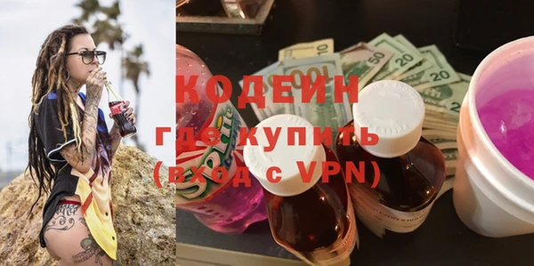 гидра Богородск