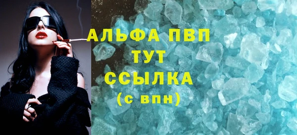 гидра Богородск
