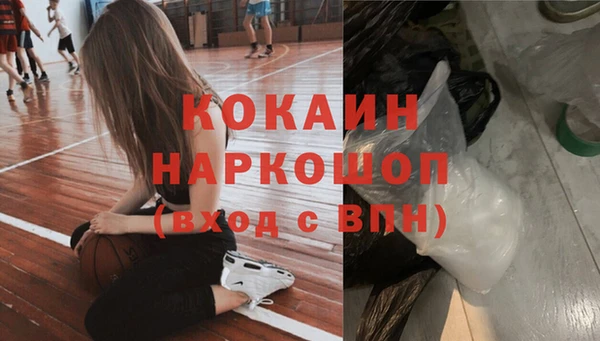 гидра Богородск