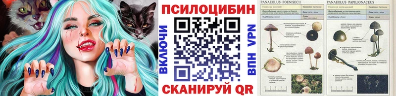 Купить где  Ленинградская  Галлюциногенные грибы мицелий 