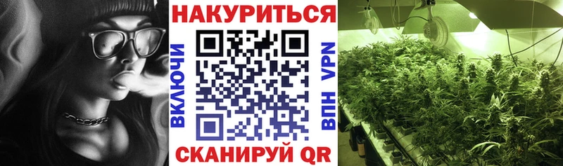 Купить  Ленинградская  Марихуана SATIVA & INDICA 